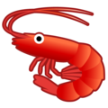🦐 Shrimp in google