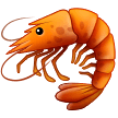 🦐 Shrimp in samsung