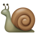 🐌 Snail in whatsapp
