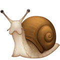 🐌 Snail in facebook