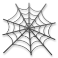 🕸️ Örümcek ağı