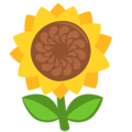 🌻 Sonnenblume