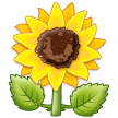 🌻 Sunflower
