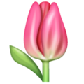 🌷 Tulip in whatsapp