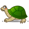🐢 kaplumbağa