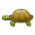 🐢 Turtle