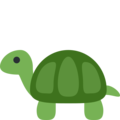 🐢 Turtle in twitter