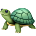 🐢 żółw