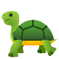 🐢 Schildkröte