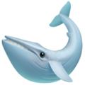 🐋 baleia