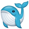 🐋 Whale in whatsapp