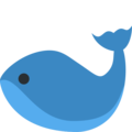 🐋 Whale in twitter