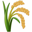 🌾 Wheat in samsung