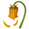 🥀 verwelkte Blume