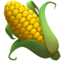 🌽 Ear of Corn in apple