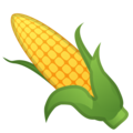 🌽 Ear of Corn in google