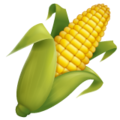 🌽 Ear of Corn in whatsapp