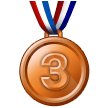 🥉 3rd Place Medal in microsoft