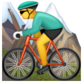 🚵 Person Mountain Biking in whatsapp