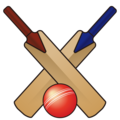 🏏 Cricket Game