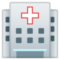 🏥 Hospital in google