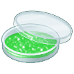 🧫 Petri Dish