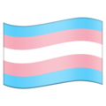 🏳️‍⚧️ Bandiera Transgender