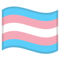 🏳️‍⚧️ Transgender Flag in google