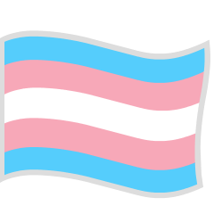 🏳️‍⚧️ Bandiera Transgender