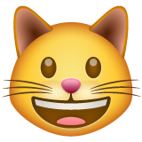 😺 Grinning Cat