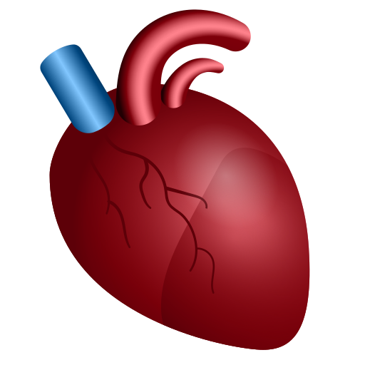 🫀 Anatomical Heart