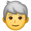 👨‍🦳 Man: White Hair