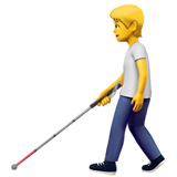 🧑‍🦯 Person with White Cane