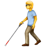 🧑‍🦯 Person with White Cane