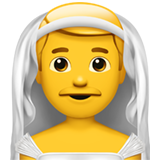 👰👰‍♂️👰‍♀️ People with Veil