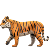 🐅 Ein Tiger