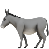🫏 Donkey