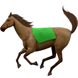 🐎 Bir At