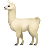 🦙 Una llama