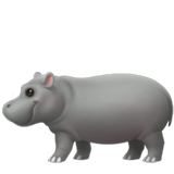 🦛 Hippopotamus