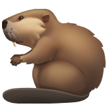 🦫 Castor