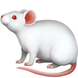 🐁 Mysz