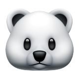 🐻‍❄️ Ours polaire