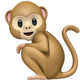 🐒 Ein Affe
