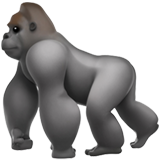 🦍 Un gorilla