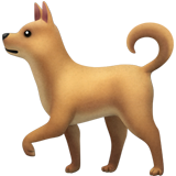 🐕 Un perro