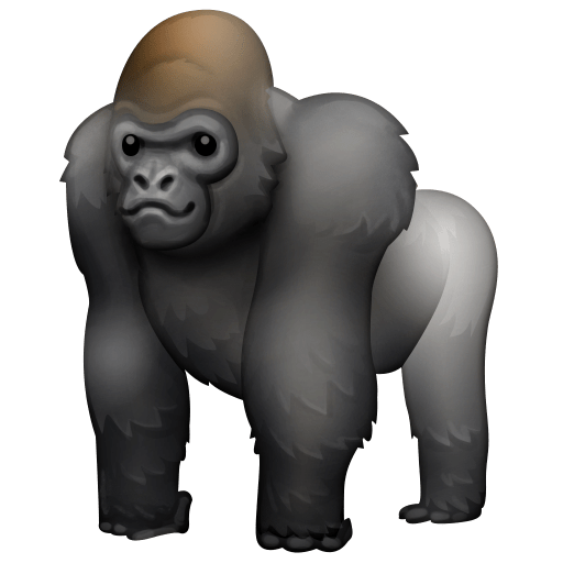 🦍 Un gorilla