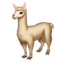 🦙 Una llama