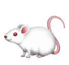 🐁 Mysz