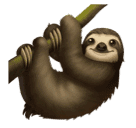 🦥 Bradipo